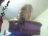Image 006.webp