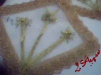 Image 006.webp