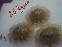 Image 013.webp