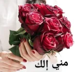 917409aca9d518e51d037bdf50c5879b.webp