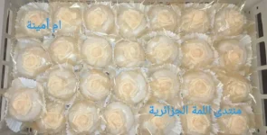 IMG_20250609_114252.webp
