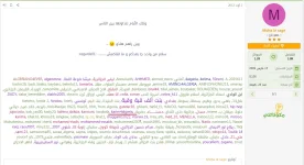 333.webp