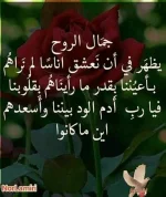 1750438465097.webp