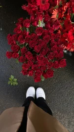 76a023bdc47796eca724c9a11b9845fc.webp