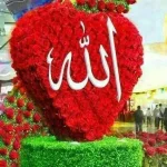 FB_IMG_1750698780091.webp