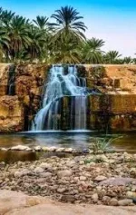 images.webp