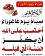 1751407093556.webp