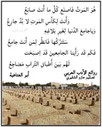FB_IMG_1751447067149.webp