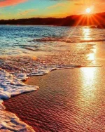 FB_IMG_1751442429125.webp