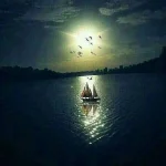FB_IMG_1751442826280.webp
