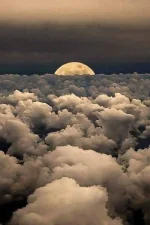 FB_IMG_1751442925526.webp