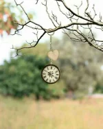 FB_IMG_1751443002514.webp