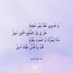 FB_IMG_1751648191312.webp