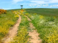1000004202.webp