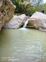 1000004316.webp