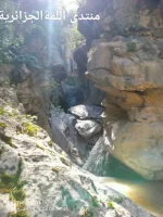 1000004315.webp