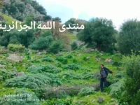 1000004310.webp