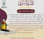 15.webp