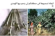 FB_IMG_1752147610322.webp
