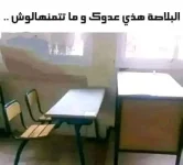 FB_IMG_1752147620442.webp
