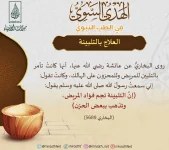 24.webp