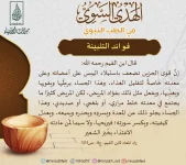 25.webp