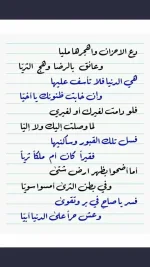 FB_IMG_1753109101609.webp