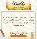 7-copy.webp