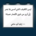 FB_IMG_1753377071831.webp