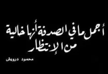 1754170576745.webp