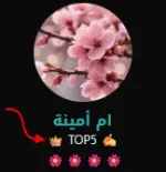 1754413764290.webp