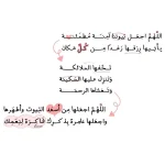 1000021560.webp