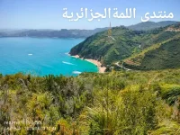 1000007533.webp