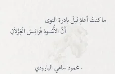 1755857579390.webp