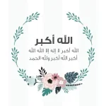1756388626573.webp