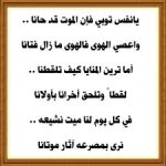 1756768162443.webp
