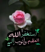 1756993708653.webp