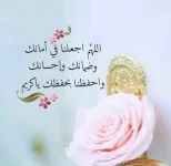 1757098785033.webp