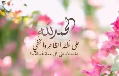 1757169624855.webp