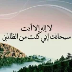 1758145805441.webp