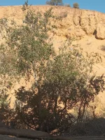 20250919_092144.webp