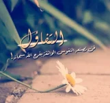1758565721469.webp