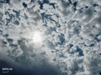 1000012214.webp