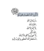 1759871050834.webp