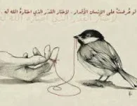 images.webp