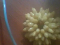 Image 004.webp