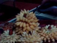 Image 004.webp