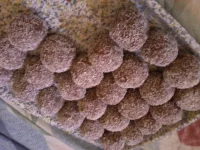 Photo-0112.webp