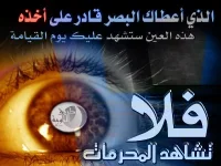 post-4-1155335206.webp post-4-1155335206.webp