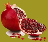 2ee3891a3482c9b27ad637d1be682216.webp